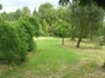 TREASURE HUNT